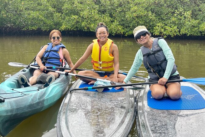 Guided Island EcoTour: CLEAR/Standard Kayak, SUP - Bonita Springs - Your 2.5-hour flow: launch, mangroves, island beach, and return