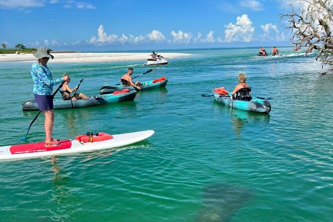 Guided Island EcoTour: CLEAR/Standard Kayak, SUP - Bonita Springs - Wildlife odds on the water: dolphins, manatees, birds, and surprises