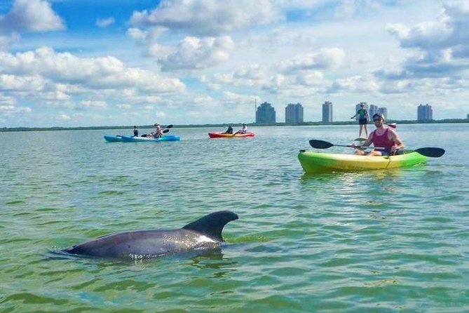 Guided Island EcoTour: CLEAR/Standard Kayak, SUP - Bonita Springs - What you really get for $50: gear, guide, photos, and free parking