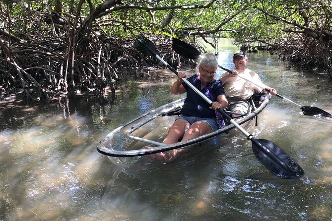 Guided Island EcoTour: CLEAR/Standard Kayak, SUP - Bonita Springs - Who should choose this guided eco-tour in Naples
