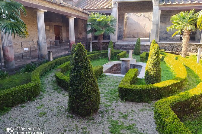 Guided Tours of Pompeii Excavations Historical and Cultural Itineraries - Key highlights you’ll feel during the tour