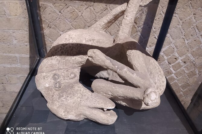 Guided Tours of Pompeii Excavations Historical and Cultural Itineraries - Why This Pompeii Tour Feels More Like a Story Than a Checklist