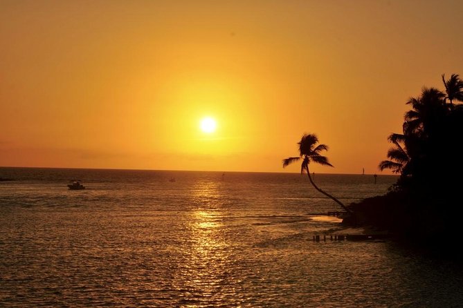 Gulf of Mexico Sunset Cruise from Naples - Key things to know before you go
