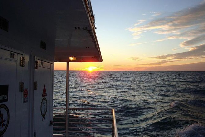 Gulf of Mexico Sunset Cruise from Naples - Wildlife spotting around Keewaydin Island: dolphins are the big draw