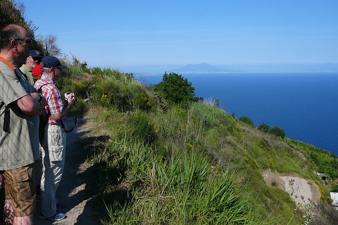 Half-day east coast hike in Ischia island with pick-up - La Scarrupata: romantic lookout and rural quiet