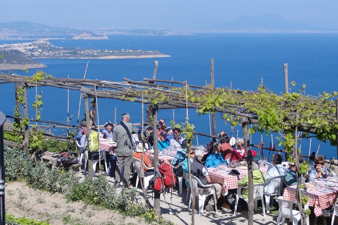 Half-day east coast hike in Ischia island with pick-up - Vineyards, orchards, and pumice-built walls: the volcanic working landscape