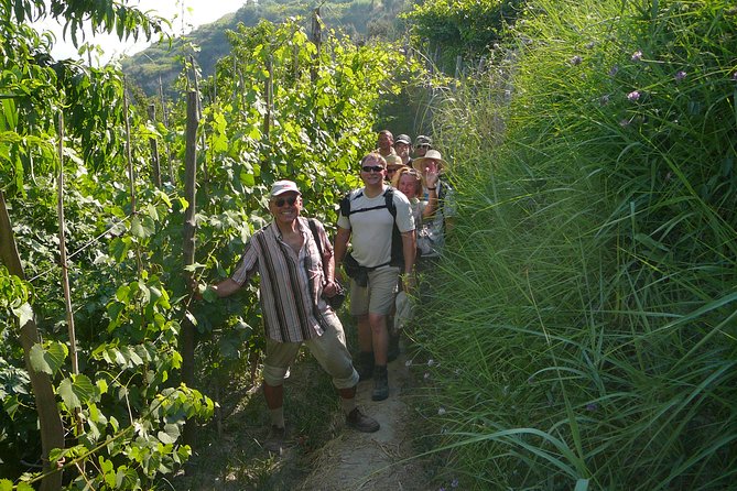 Half-day east coast hike in Ischia island with pick-up - The turquoise sea below: how the shallow water tells a deeper story