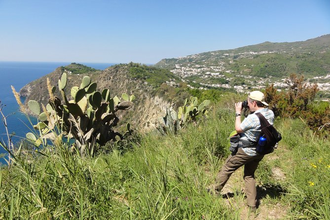 Half-day east coast hike in Ischia island with pick-up - Piano Liguori: car-free village views over vineyards and the Gulf