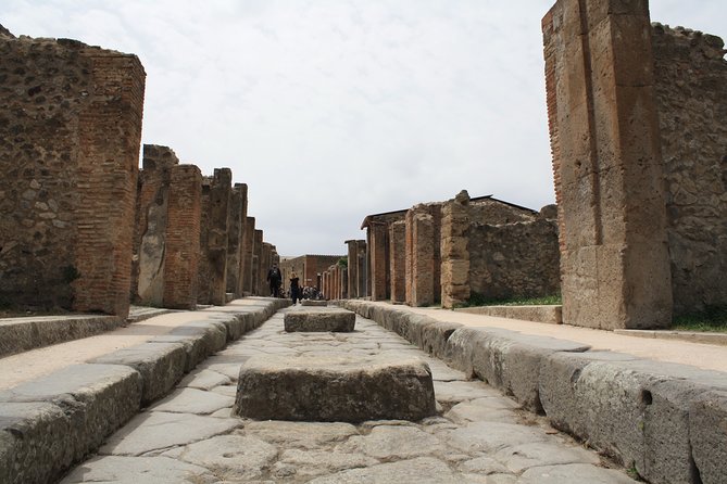 Half-Day Exclusive Private Tour of Pompeii and Herculaneum - Price and time: $4,655.67 per person, and how to judge value