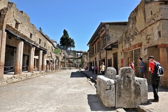 Half Day Excursion to Herculaneum from Naples with Lunch - Pompeii lunch stop: a break with a Vesuvian backdrop