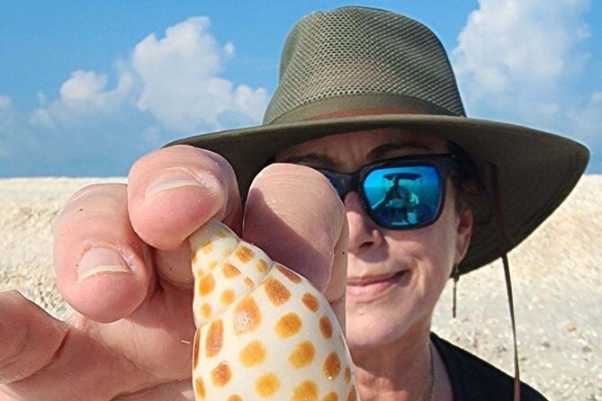 Half Day Keewaydin Shelling and Beach Adventure (Private) - Price and Value: $725 Per Group, and What You’re Really Buying