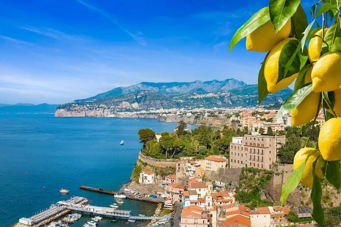 Half day Positano and Sorrento tour from Naples - Getting There: Pickup, Minivan Comfort, and Small-Group Limits