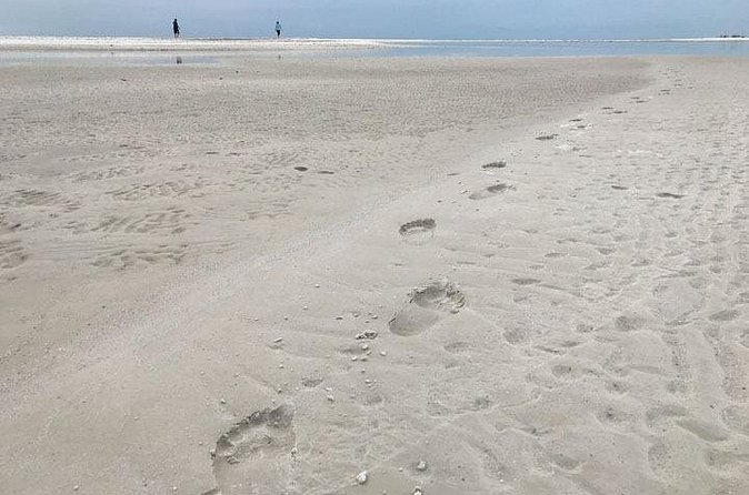 Half-Day Super Shelling Tour - What to pack so shelling is actually enjoyable