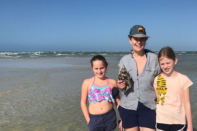 Half-Day Super Shelling Tour - Cape Romano Shell Island: the “Second Chance” shell bar