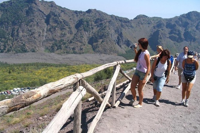 Half-Day Trip to Mt. Vesuvius from Naples - Getting From Naples to Vesuvius: Comfort, Pickup, and the Value of Not Thinking