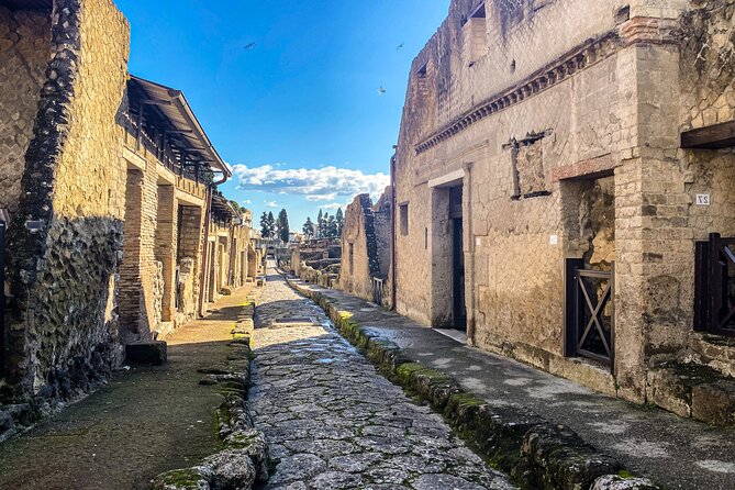 Herculaneum 3D Skip the line Walking Tour - The guide experience: pace, personality, and small-group feel