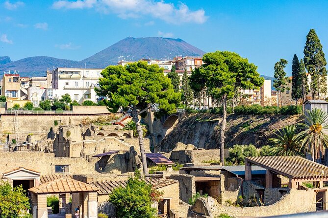 Herculaneum and Vesuvius Private Tour from Naples - Key things to know before you go