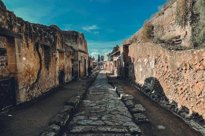 Herculaneum and Vesuvius Private Tour from Naples - How this Naples tour really plays out (8 hours, 2 stops)