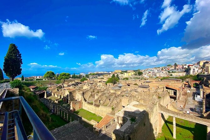 Herculaneum and Vesuvius Private Tour from Naples - Vesuvius National Park and Gran Cono: the payoff part of the day