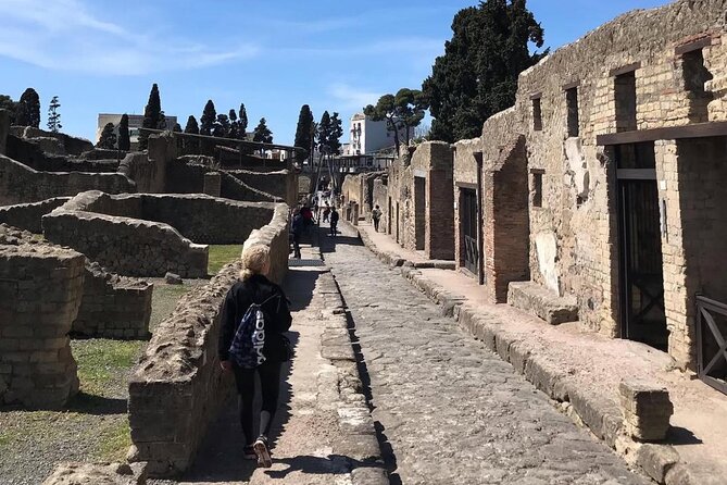 Herculaneum and Vesuvius Private Tour from Naples - The downloadable audio guide: how to set yourself up fast
