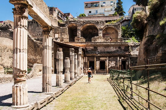 Herculaneum Guided Group Tour from Naples - Who should book this Herculaneum tour, and who should consider alternatives