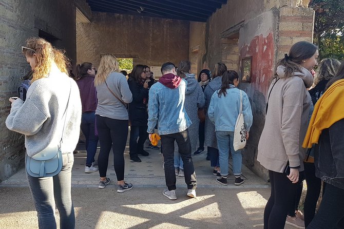 Herculaneum Guided Walking Tour – Priority Access - Licensed Guide, Italian or English: How the Tour Stays Understandable
