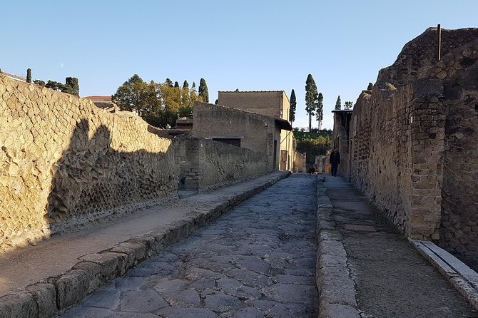 Herculaneum Guided Walking Tour – Priority Access - How Herculaneum Shows Roman Daily Life (Beyond the Big Names)