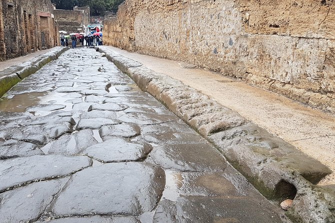 Herculaneum Guided Walking Tour – Priority Access - Price and Value: Is $47 Worth It?