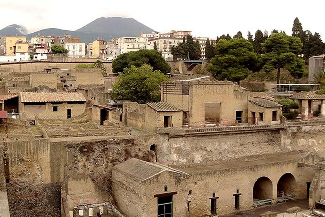 Herculaneum Guided Walking Tour – Priority Access - Should You Book This Priority Access Herculaneum Walk?