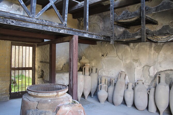 Herculaneum Private Guided Tour Led by a Local Top-rated Guide - All inclusive - Thermal Baths and Roman routines you can picture