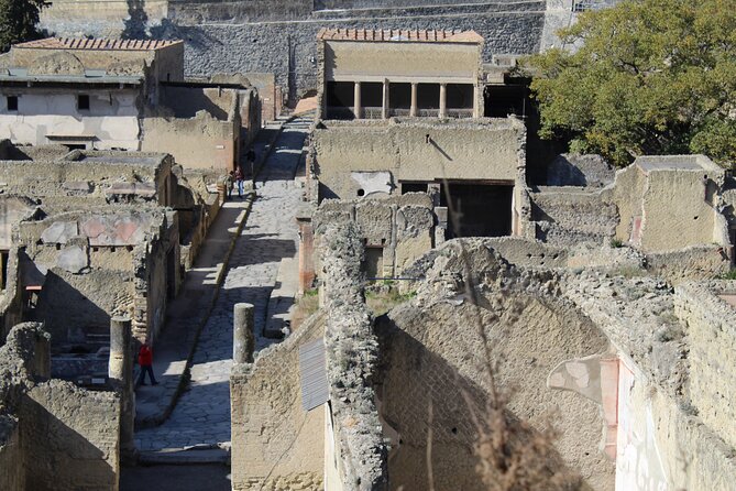 Herculaneum Private Guided Tour Led by a Local Top-rated Guide - All inclusive - Who this tour suits best (and who might prefer something else)