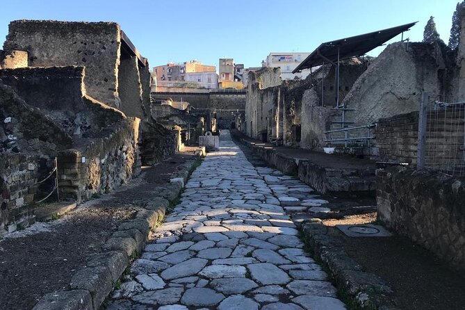 Herculaneum - Private Tour (skip-the-line admission included) - Herculaneum’s quieter side: why private works here