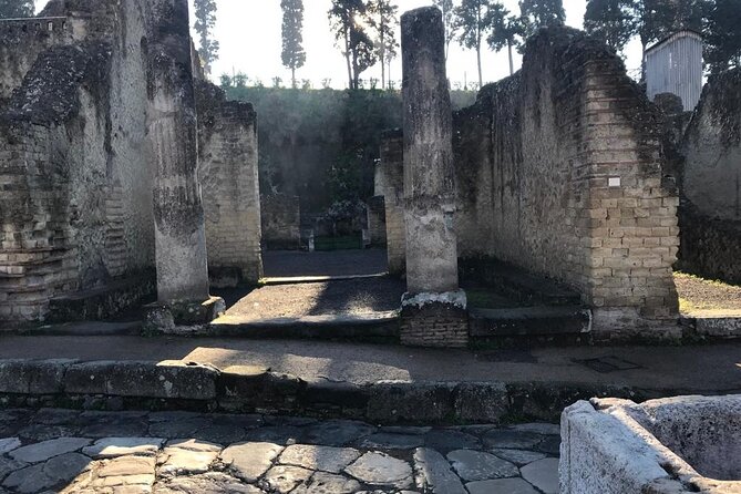 Herculaneum - Private Tour (skip-the-line admission included) - The seafront finale: ancient beach, skeletons, and a wooden boat
