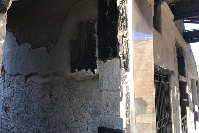 Herculaneum - Private Tour (skip-the-line admission included) - Is this tour good value for your specific trip?