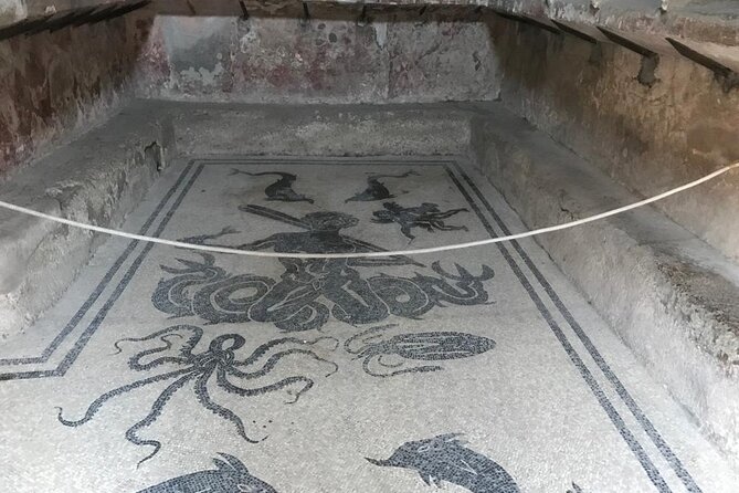 Herculaneum - Private Tour (skip-the-line admission included) - Should you book this skip-the-line Herculaneum private tour?