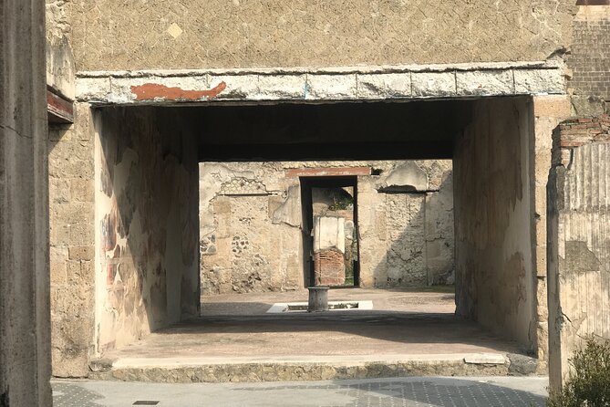 Herculaneum Private Tour with an Archaeologist - Stop 5: Casa del Salone Nero (The Black Room)