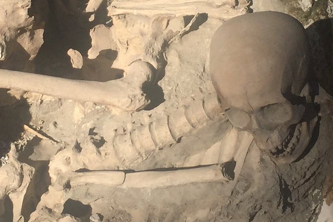 Herculaneum Private Walking Guided Tour 2 hours - Parco Acheologico di Ercolano: what your guide will make you notice