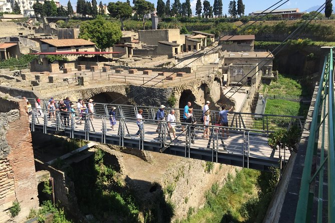 Herculaneum Private Walking Guided Tour 2 hours - The real value: a licensed guide who turns ruins into stories