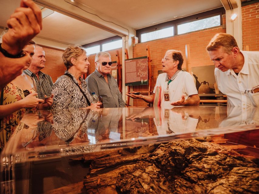 Herculaneum: Private Walking Tour with Archeologist Guide - Why Herculaneum feels different from Pompeii