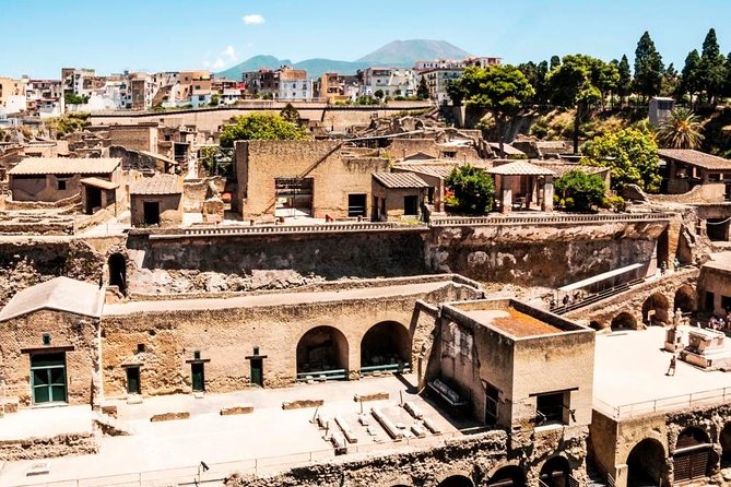 Herculaneum Ruins Private Half-Day Tour - Quick Hits Before You Go