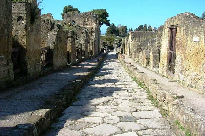Herculaneum Ruins Private Half-Day Tour - The 3-Hour Rhythm: Pickup, Drive, 2 Hours on Site