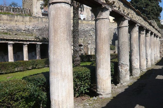 Herculaneum Ruins Private Half-Day Tour - Private Door-to-Ruins Transport From Naples or Sorrento