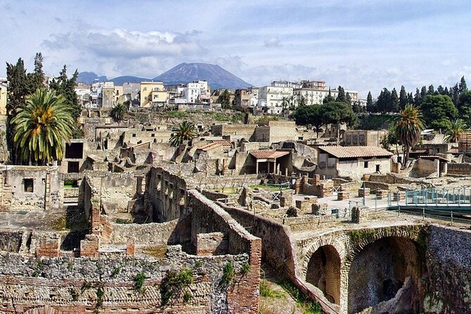 Herculaneum: skip the line entry ticket (art) + audioguide & map - Entering Herculaneum fast and making it stress-free