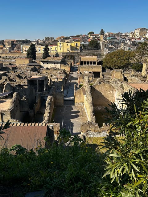 Herculaneum - Small Group Tour (admission included) - Why Preservation Here Is So Peculiar (and So Educational)
