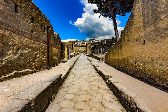 Herculaneum small group tour with an archaeologist - skip the line - La Terrazza di M. Nonio Balbo + the Augustales: power, patronage, and worship