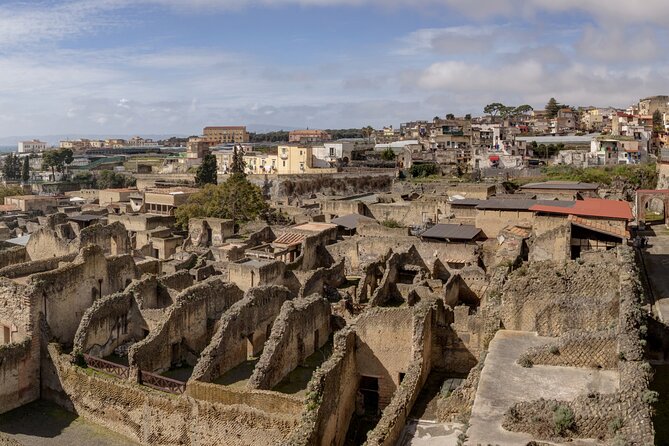 Herculaneum, Vesuvius and Pompeii Full Day Tour from Naples - Stop 2: Vesuvius National Park—crater views with real walking