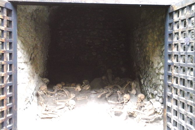 Herculanium guided tour - Should You Book the Herculanium Guided Tour?
