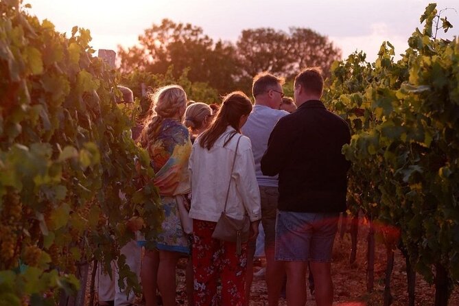 History & Local Wines: Amphitheater, Mitrium and Winery Visit - How a private 5-hour day works from Naples