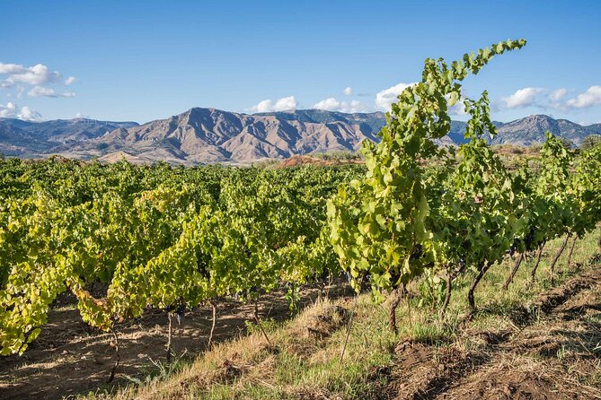 History & Local Wines: Amphitheater, Mitrium and Winery Visit - Who will enjoy this tour most (and who might not)