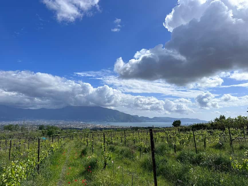 Horseback Ride on Mt. Vesuvius - Key things I’d pay attention to before you book